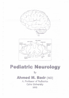neurology (A.badr).pdf